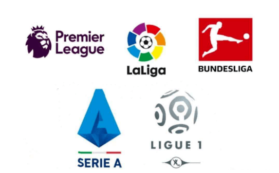 与公司在发 与公司在发